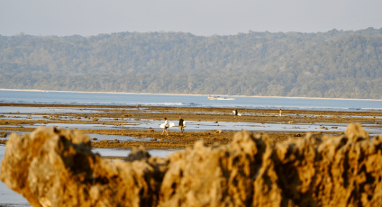 The G-Land beach is adorned with well-preserved white sand and beautiful tropical rainforests